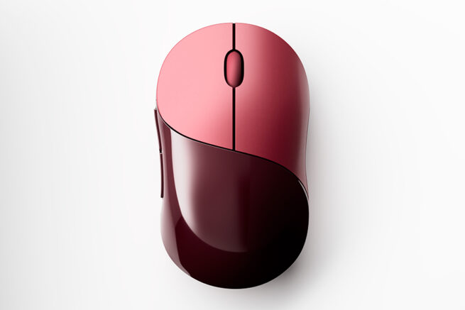 ウズマキマウス